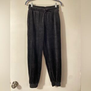 Express Velvet Joggers